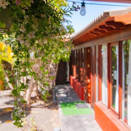 El Rincon Del Huroncillo Tejina Esterno foto